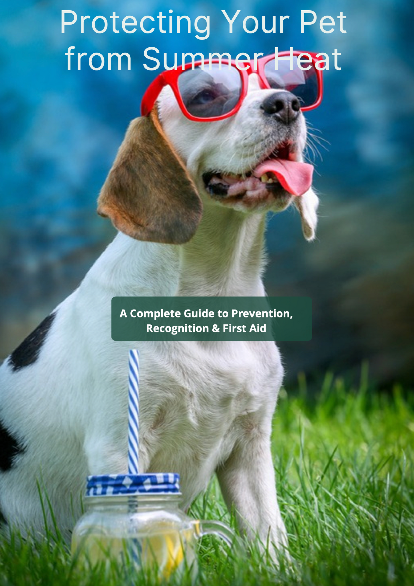 Protecting Your Pet from Summer Heat: A Complete Guide to Prevention, Recognition and First Aid for Dogs, Cats and Small Animals